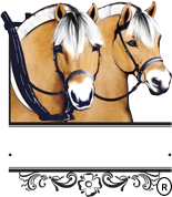 Norwegian Fjord Horse Registry